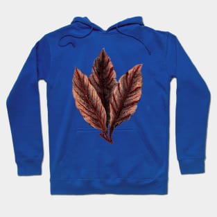 Leaves from the past Hoodie